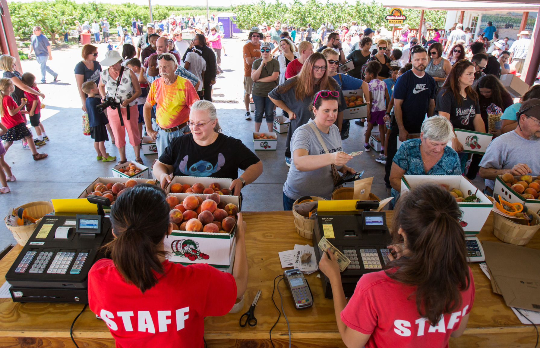 Peach Mania at Apple Annie's